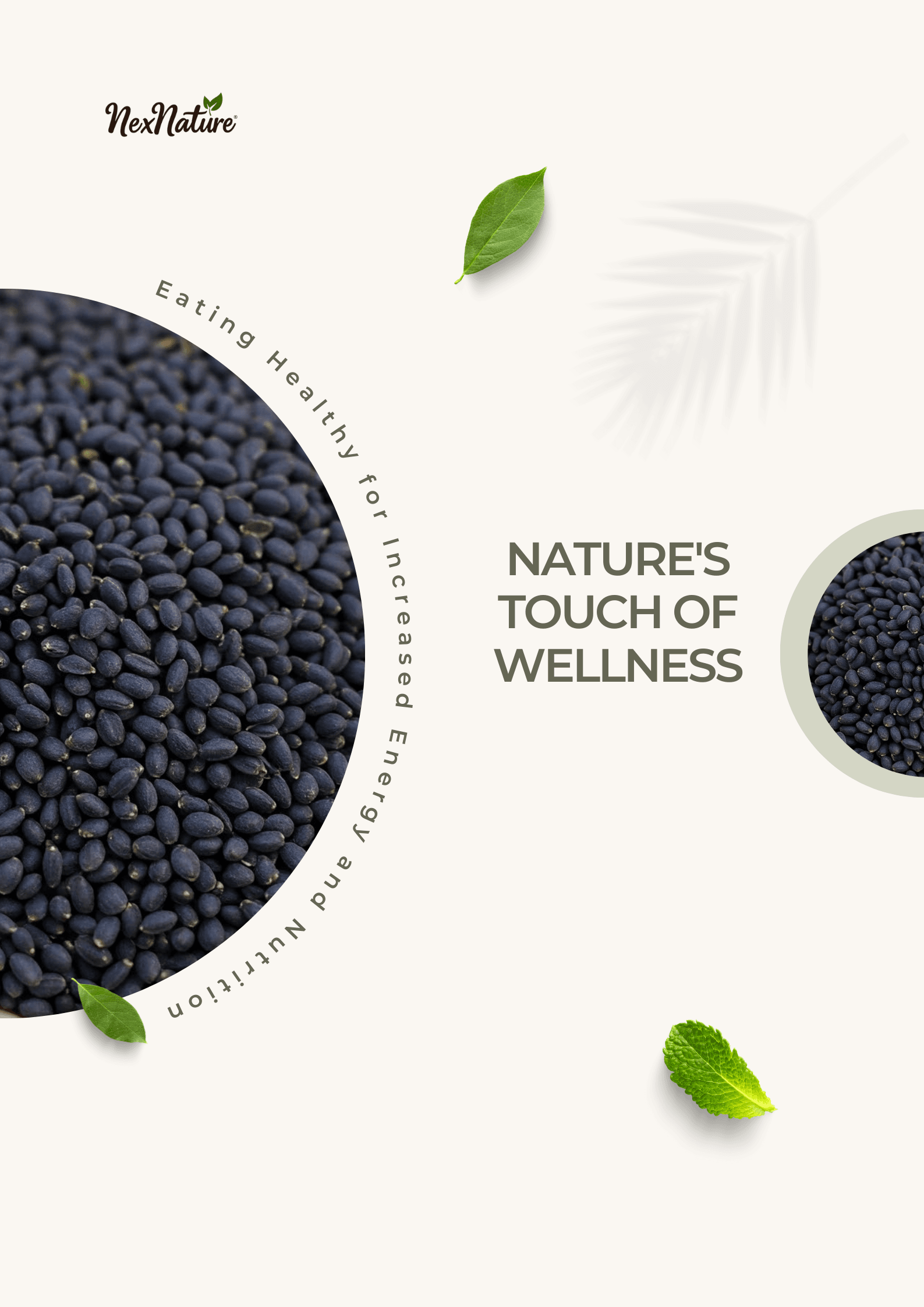 Basil Seeds - Image 5