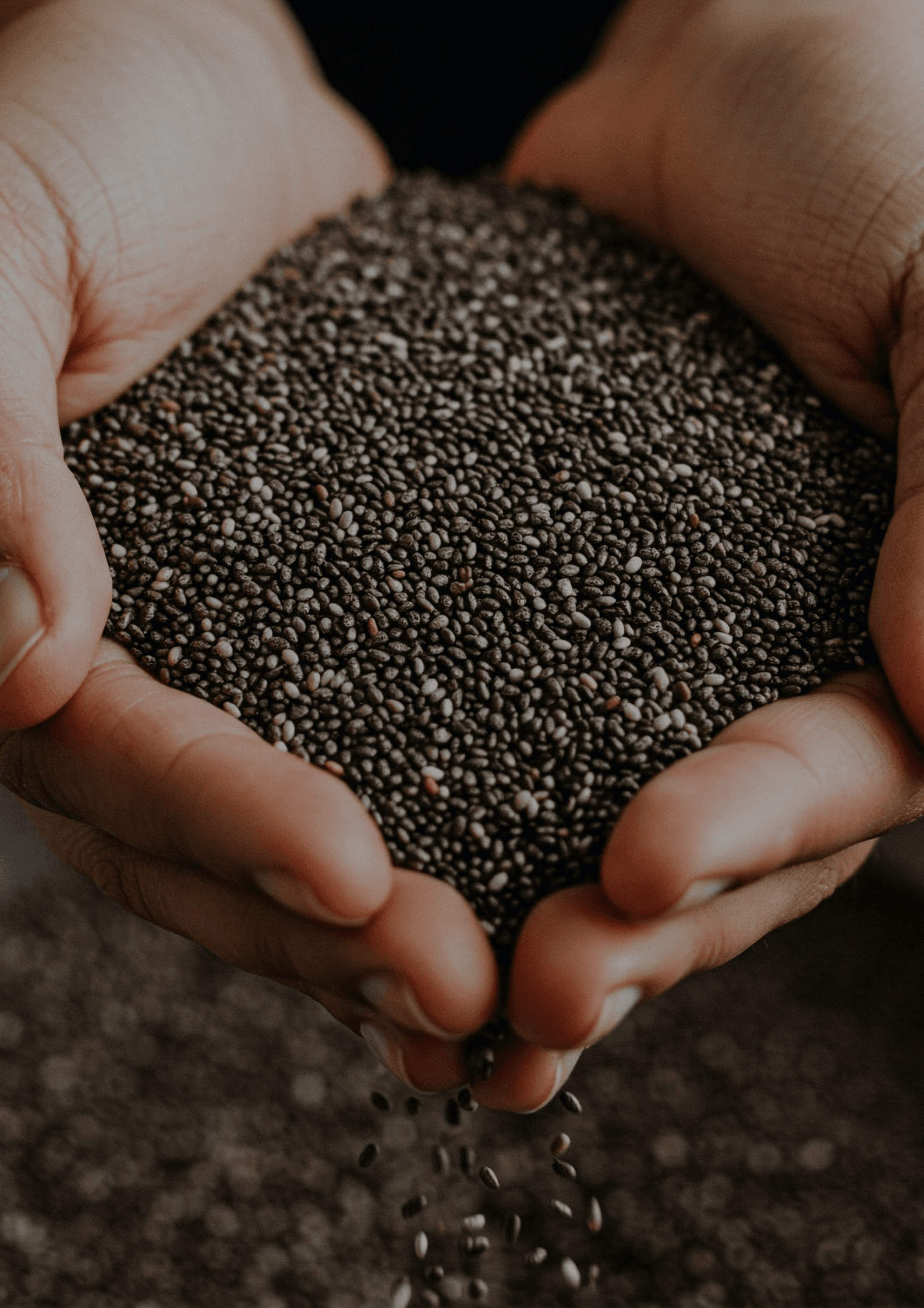 Chia Seeds - Image 4