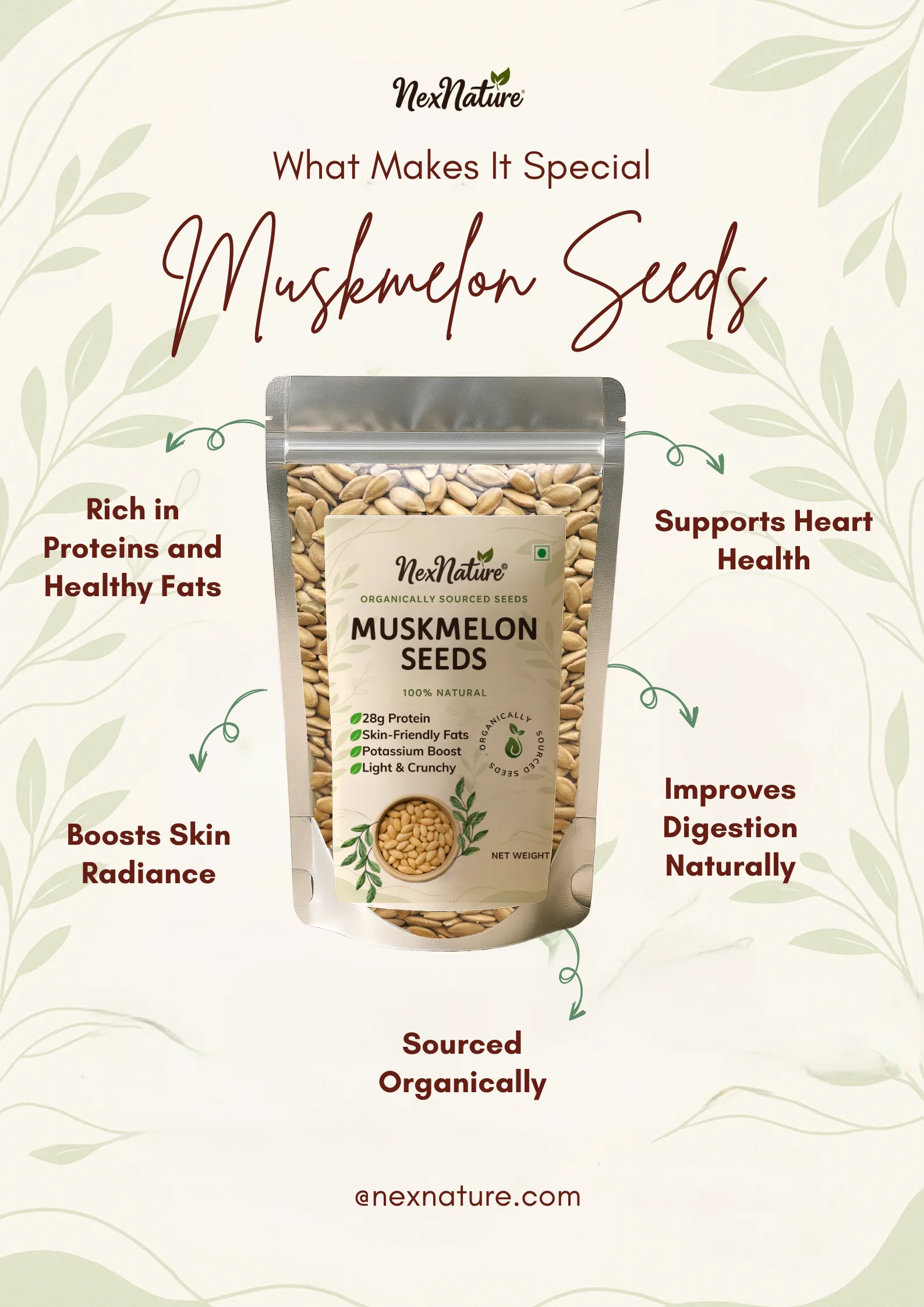 Muskmelon Seeds - Image 4
