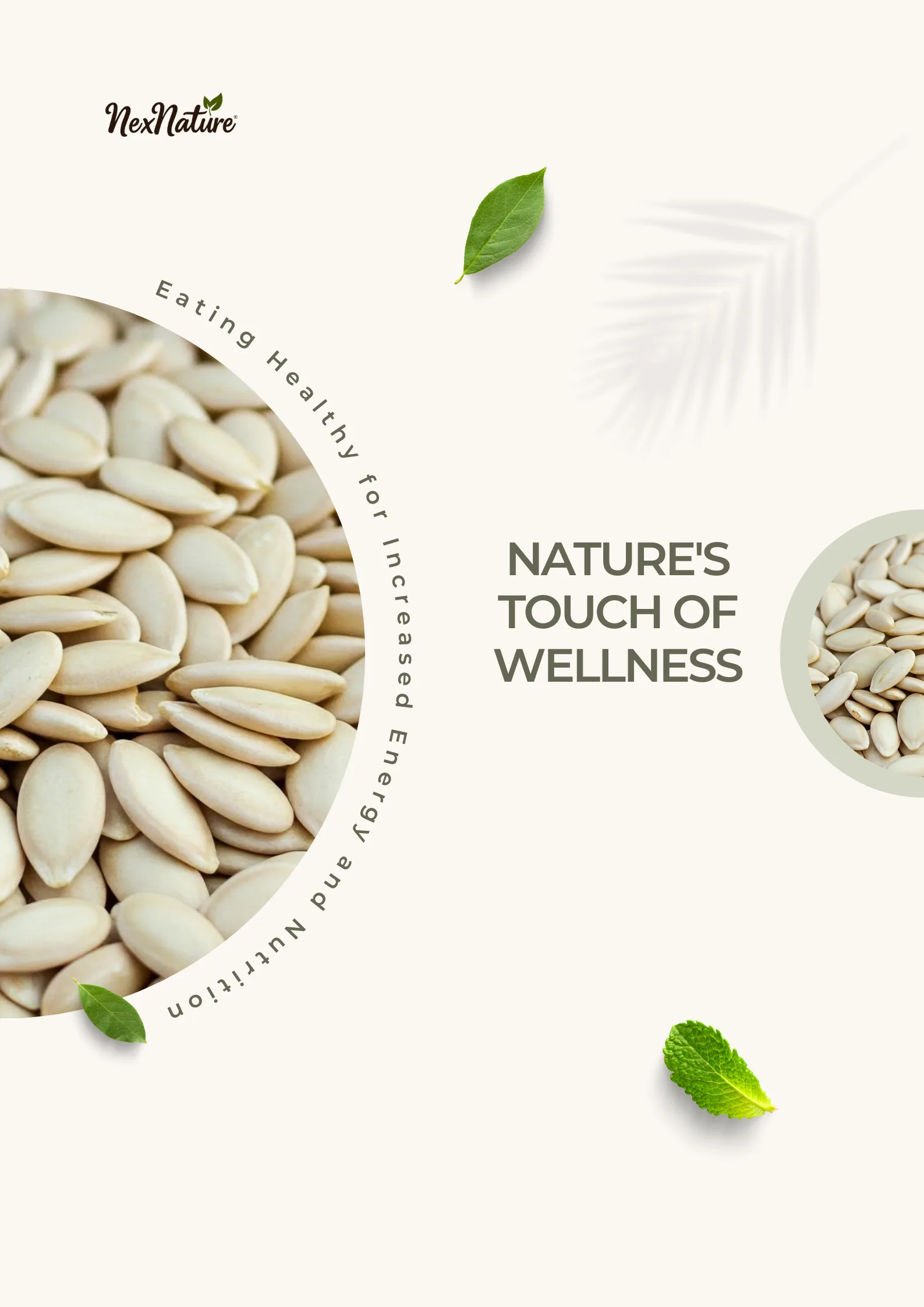 Muskmelon Seeds - Image 5