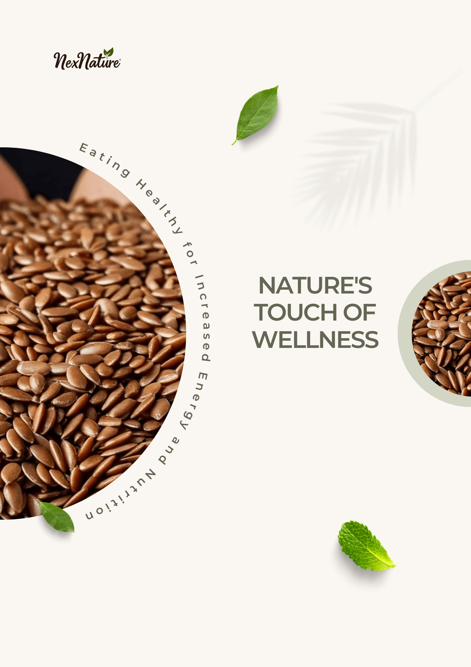 Flax Seeds - Image 5