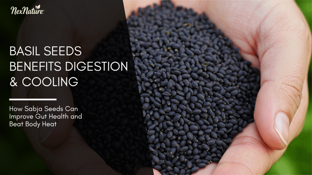 Basil Seeds Benefits Digestion & Cooling: How Sabja Seeds Can Improve Gut Health and Beat Body Heat