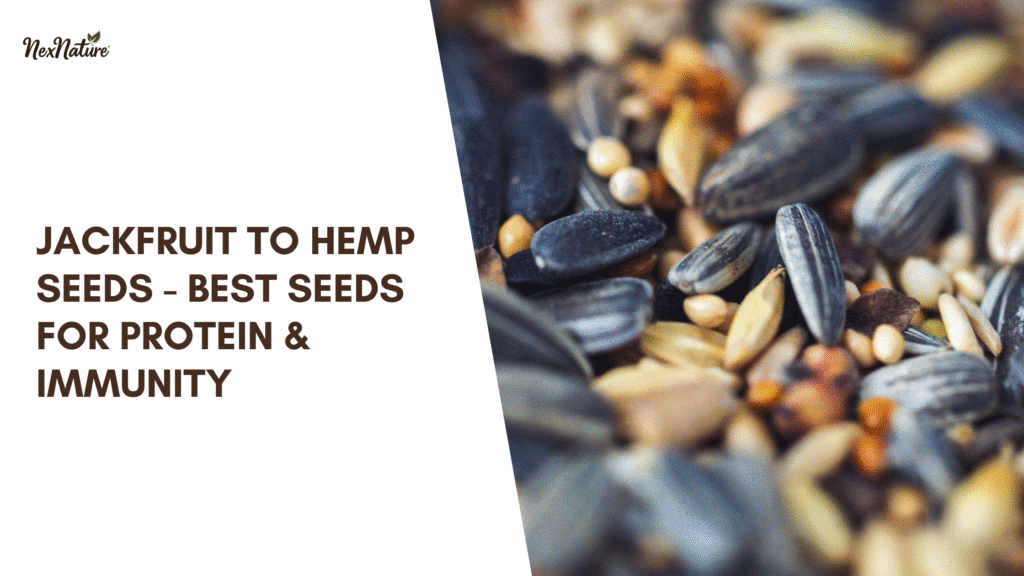Jackfruit To Hemp Seeds - Best Seeds For Protein & Immunity