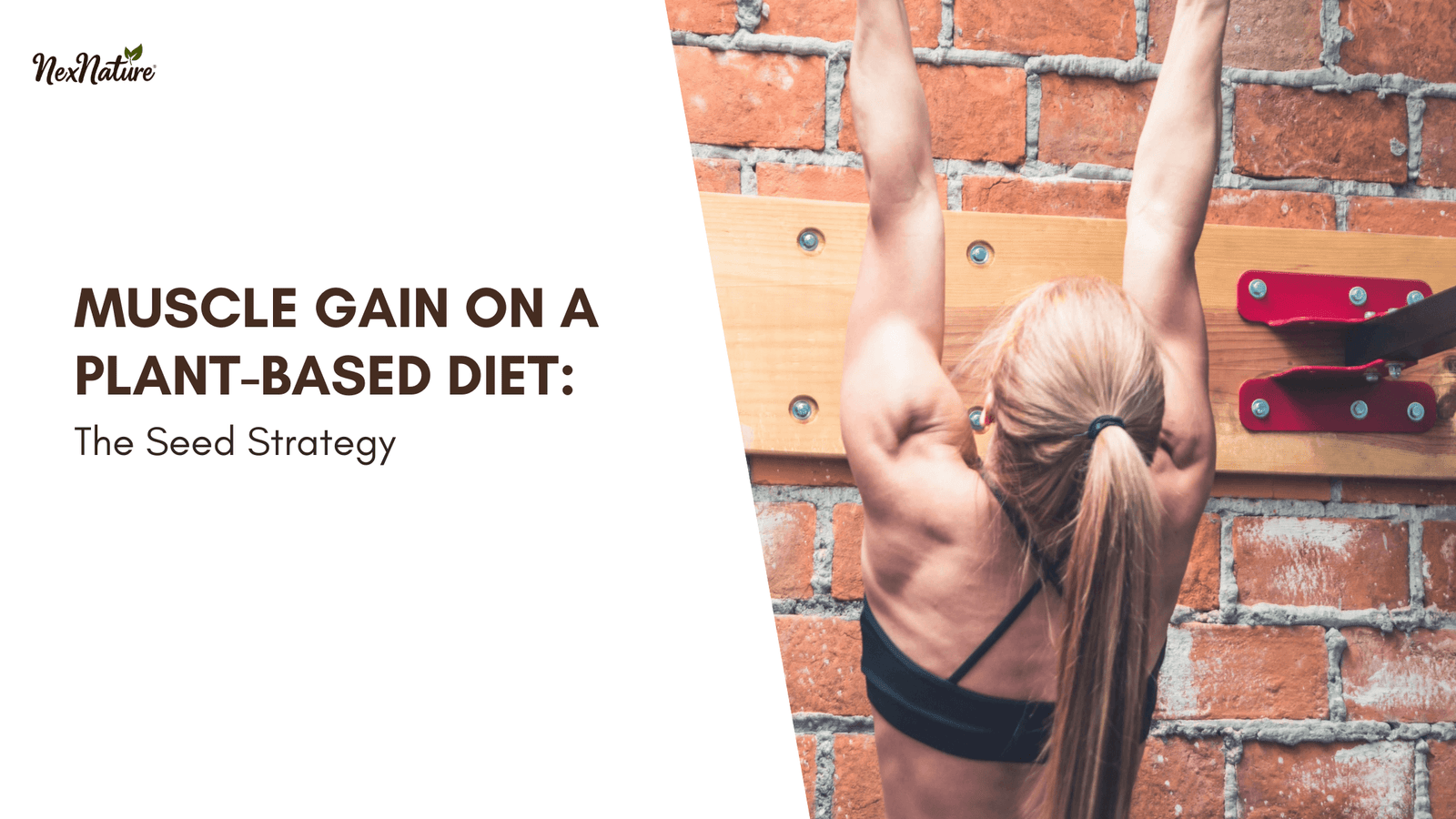 Muscle Gain on a Plant-Based Diet: The Seed Strategy