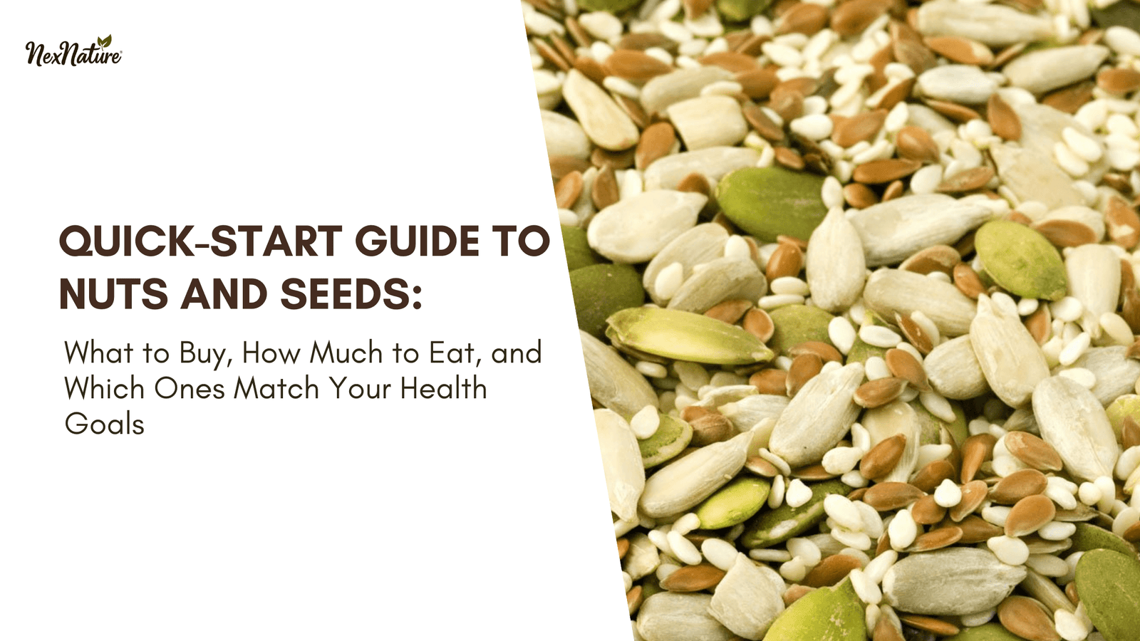 Quick-Start Guide to Nuts and Seeds: What to Buy, How Much to Eat, and Which Ones Match Your Health Goals