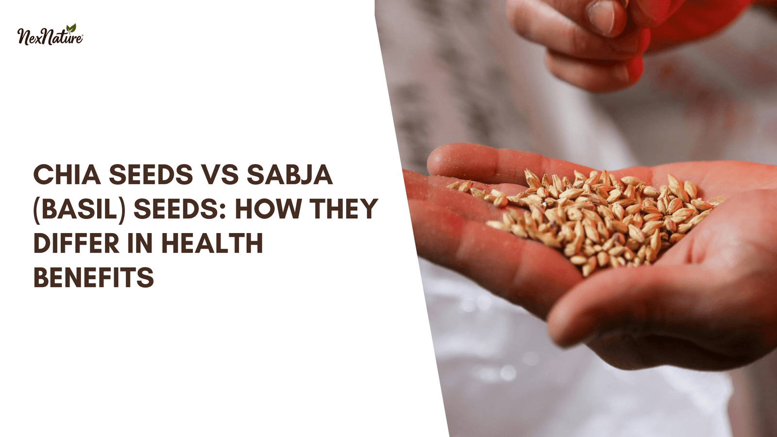 Chia Seeds vs Sabja (Basil) Seeds: Which Should You Choose? How They Differ in Health Benefits